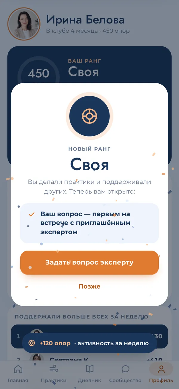 Окно нового ранга с открытой привилегией